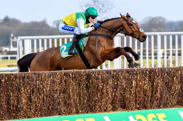 Cloth Cap wins the Bet365 Premier Steeplechase at Kelso in 2021