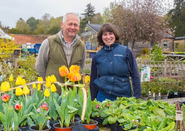 Stephen and Emma Emmerson, owner/managers at Woodside Garden Centre. (Photo: BILL McBURNIE)
