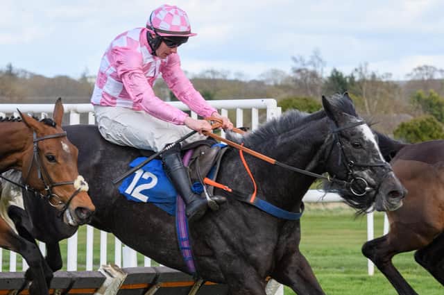Craig Nichol riding Kingston Bridge to victory for Hawick trainer Ewan Whillans in the Go North Cab on Target Final Handicap Hurdle at Kelso Racecourse on Monday (Photo: Alan Raeburn)