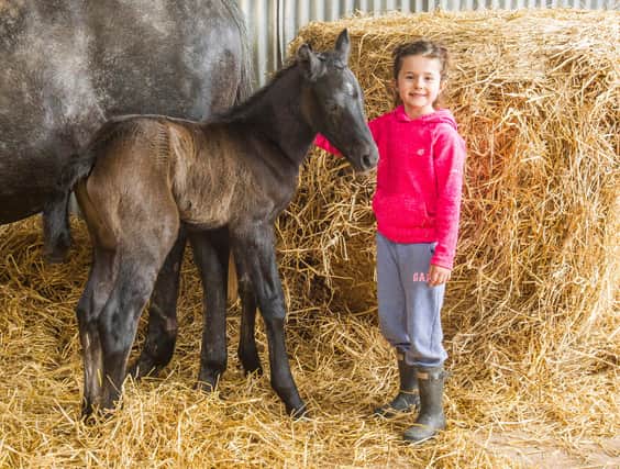 Scarlett-Rose Ballantyne with her newborn foal, Bellendene Buttons. (Photo: BILL McBURNIE)