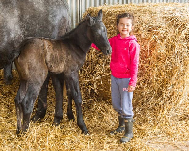 Scarlett-Rose Ballantyne with her newborn foal, Bellendene Buttons. (Photo: BILL McBURNIE)