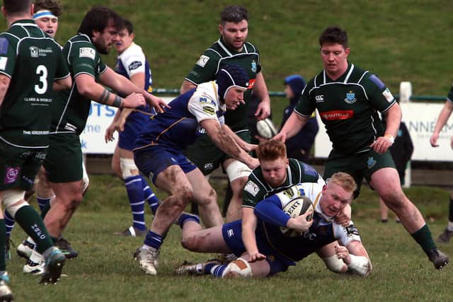 Hawick halting a Jed-Forest attack during their 34-7 Scottish cup first-round win at Mansfield Park on Saturday (Photo: Steve Cox)