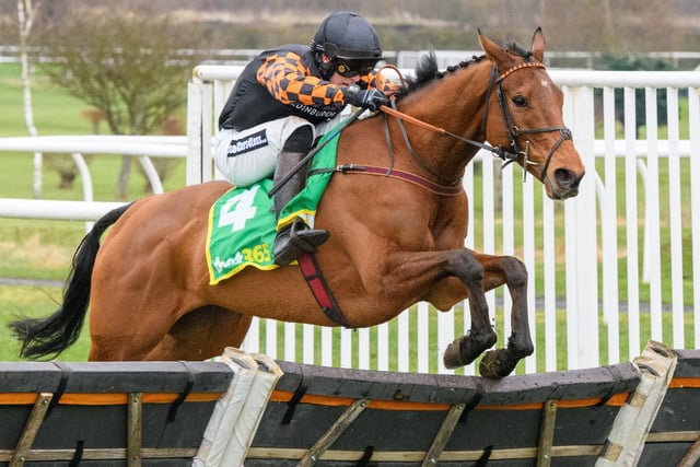 Patrick Wadge on Kinross trainer Lucinda Russell's Serious Operator at Kelso Racecourse on Saturday (Photo: Alan Raeburn)