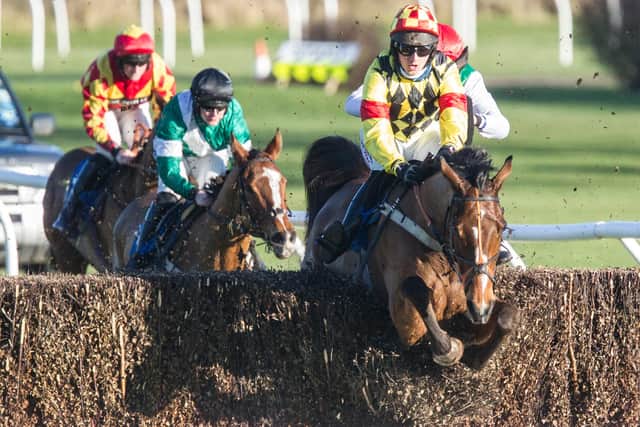 Deep Charm finished second in the White Swan Handicap Chase at Kelso on Sunday, ridden by Sam Coltherd and trained by his father Stuart (Photo: Bill McBurnie)