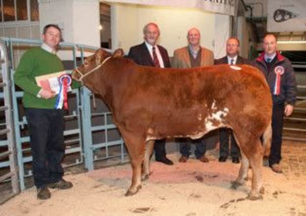 From left: Will Hamilton, Bee Edge, Coldingham with the champion Limousin cross heifer which made £2,360, sold to Mr J.Anderson and Mr R.Anderson of John Anderson Butchers, North Berwick, John Swan Ltd managing director Steven Wilson and judge Jamie Scott from wholesalers John Scott Meat, Paisley