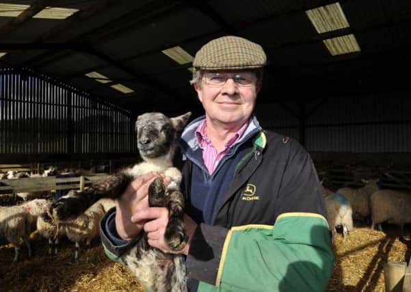 Alec Telfer of Broadmeadows in Yarrowford with newly born lamb after.