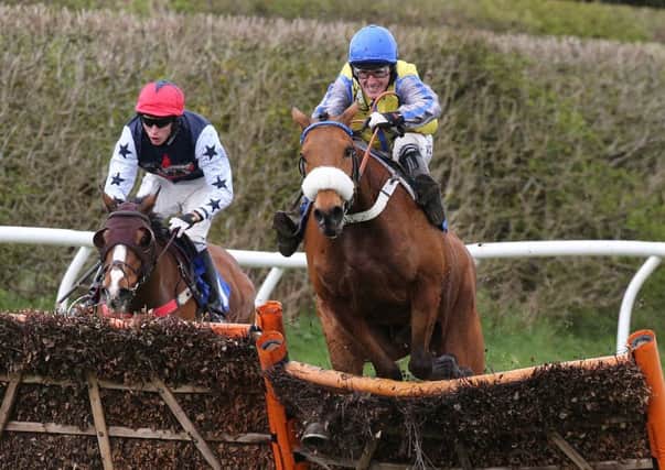 Sealous Scout, ridden by A P McCoy, wins at Kelso. Picture by John Grossick