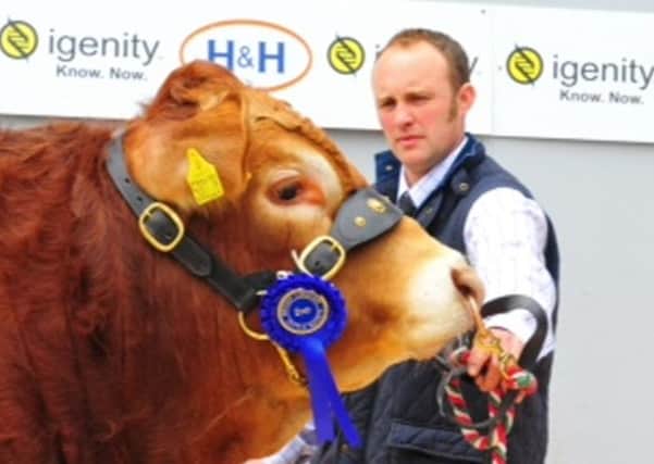 Jonathan Watson of Bowsden Moor Farm in Northumberland with Tweeddale Daimler who sold for 10,000gns in 2010