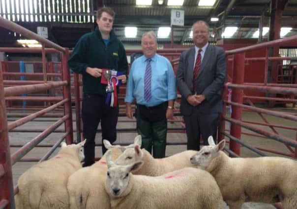 Winning pen at the John Swan show and sale (left to right) Mr George Robinson (Roxan Tags), Jimmy Curle (Judge), and Steven Wilson (Managing Director) accepting the award on behalf of shepherd Mr Neil Douglas in his absence.