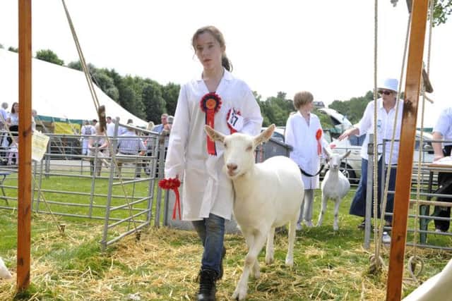 Shauna Murdie of Towford nr Oxnam with her winning entry in the goats' young handlers