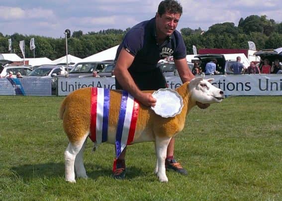 Selkirk's David Gray with his champion of champions Texel gimmer