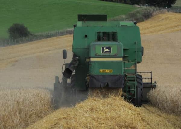 Many farmers are busy with harvest just now before the crunch vote on September 18
