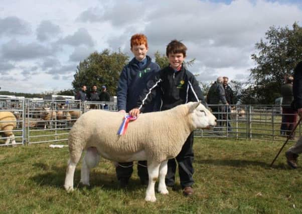 Overall Champion, James Anderson, Headshaw photograph is with his 2 sons, Hamish and Adam Anderson. He is a texel shearling by Teviot Topper