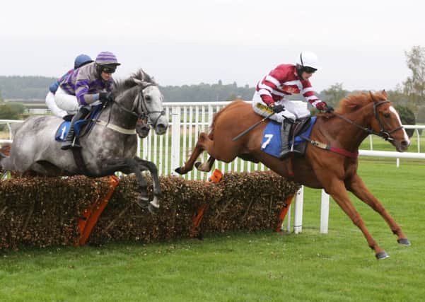 ENDEAVOUR and Ryan Mania win at Kelso 17/9/14
Photograph by GROSSICK RACING 07710461723