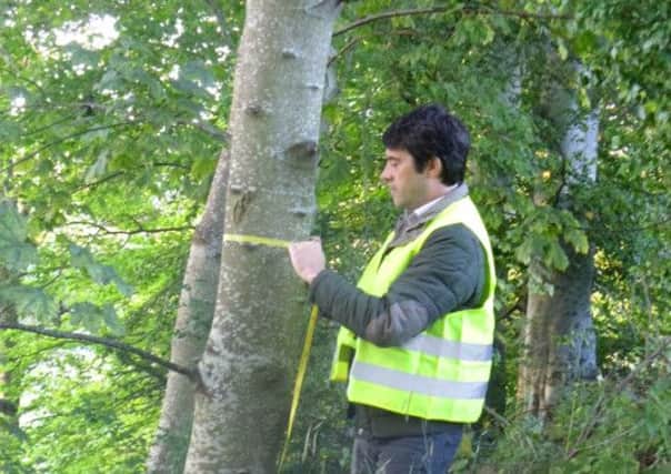 BMR's woodland manager Paul Boobyer measuring tree diameters