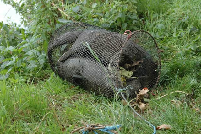 Police in East Lothian are appealing for information after three otters were found dead in Haddington.

A member of the public discovered the animals within a net trap in the River Tyne, next to Haddington Golf Course and contacted police.

It is believed the otters may have drowned after becoming trapped in the net, which may have been used to catch eel or crayfish.

A partnership investigation is now underway between Police Scotland and the Scottish SPCA into the circumstances surrounding these creatures' deaths and anyone who can assist with this enquiry is asked to come forward.

Wildlife Crime Officer, PC Gavin Ross said: "Examination of the otters confirms that they were an adult female and two young and it appears they became trapped within the net and were unable to escape.

"Using a net trap for catching eels and crayfish is illegal and we would urge members of the public who remembers seeing anyone fishing in this manner to contact police immediately.

"The death of these animals will be of great di