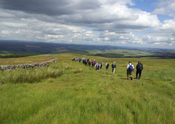 There will be 28 walks on offer at this year's festival in September.