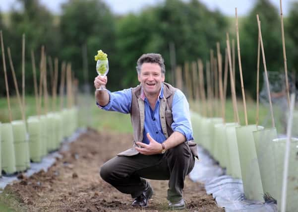 Christopher Trotter is hoping to take advantage of global warming so Fife can produce quality wine. Picture: Walter Neilson