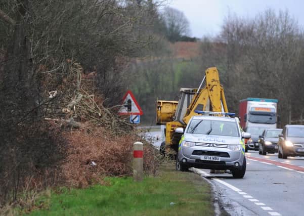 Collapsed tree being removed from the A1 southbound carriageway near Grantshouse