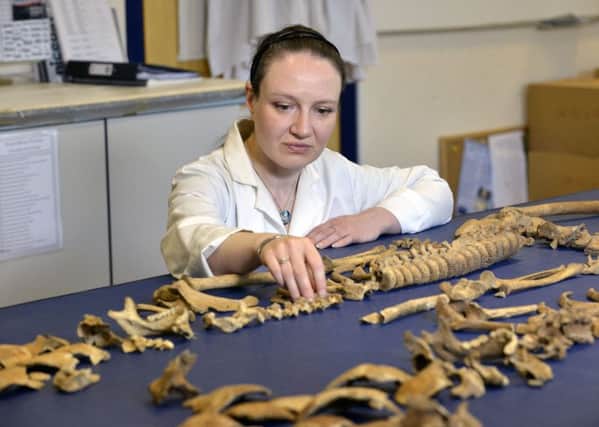 Dated: 02/09/2015
Tests have revealed skeletons found in Durham City UNESCO World Heritage Site are 17th century Scottish soldiers. This picture shows Dr Anwen Caffell of Durham University with some of the remains.  

** NOTE ** 
Images and footage provided solely for use in news stories relating to this announcement. For all other uses permission must be sought from Durham University. #NorthNewsAndPictures/2daymedia