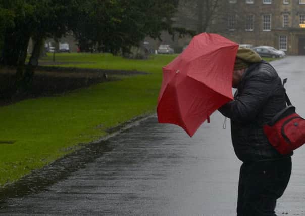 Weather Pictures
Battling the wind and rain at Newbattle Abbey in Dalkeith.