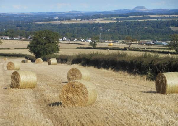 Autumn Harvest images taken looking towards Edgehead from D'Arcy Farm

by Tony Newjem, of Newtongrange