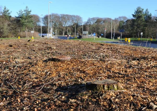 Chopped trees and ground clearing at Tweedbank, site of the Great Tapestry of Scotland