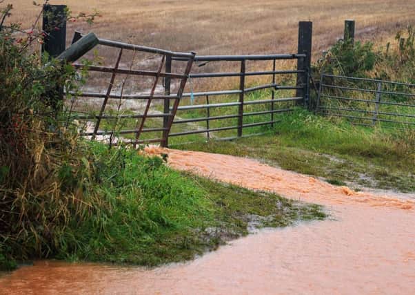Water pouring out of saturated fields near Coldingham