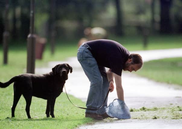 Dog owners need to take responsibility and clean up after their pets.