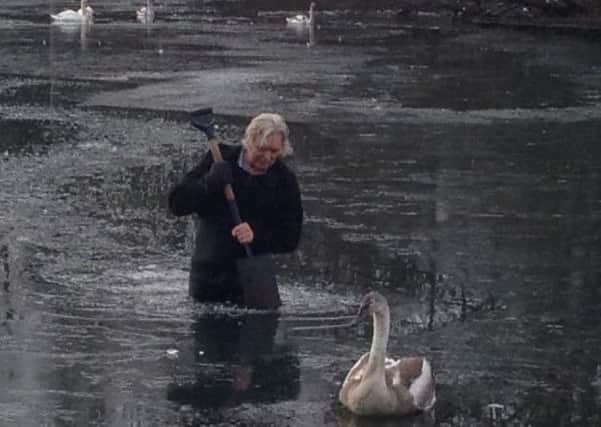 Local Tweedbank restaurant owner Sandy Craig has been hailed a wildlife hero this week for his attempted rescue of a young swan trapped in a frozen loch.
Sandy, 67, decided it was time to take action after the male swan had been unable to free itself from the frozen waters of Gun Knowe Loch at Tweedbank for some hours at the weekend