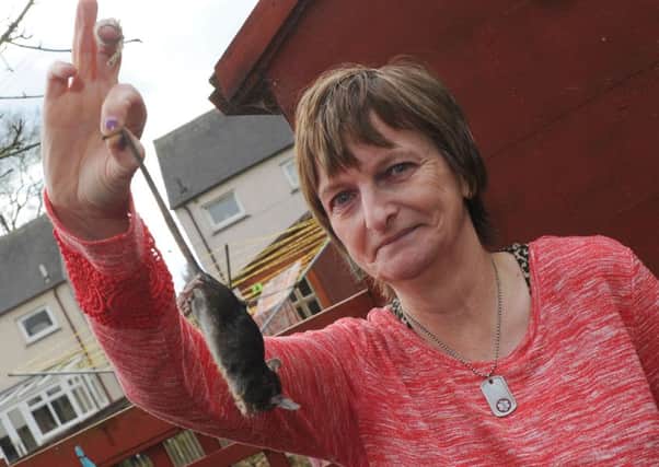 Patricia Sharmen with a rat caught in Bannerfield Drive