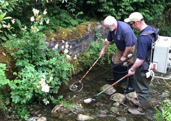 SBSR  electro-fishing at Wilton Park