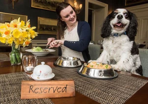SBSR Doggy meals at Floors Castle