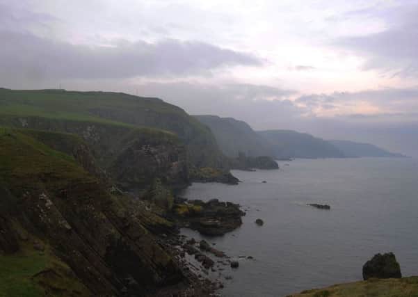Misty cliffs around Pettico Wick in the St Abbs Head Nature Reserve.
