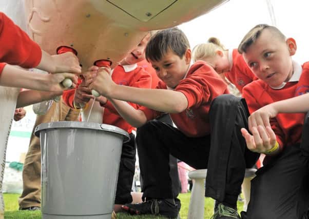 Edenside Primary School pupils learn about milking a coo. Picture: Stuart Cobley