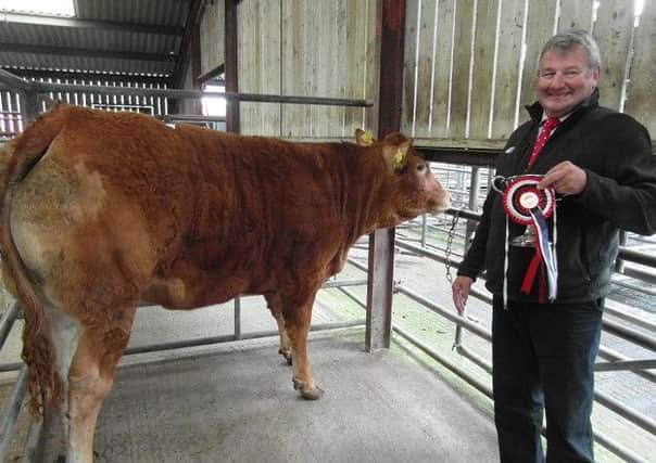 Acklington Mart spring prime stock show held yesterday.
As we are trying to make an in road in to the Borders, I wondered if you may be able to add this to your farming page.

R. and F. Stephenson, Whitemire, Duns, won the Championship Cattle prize at Acklington Mart's spring prime stock show with this outstanding Limousin heifer which was purchased by Nicholson butchers of Whitley Bay for Â£1,484.

Many thanks
Andrew - Acklington Mart