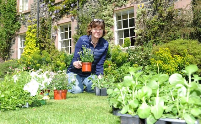 Didi Thyne doing the last bits of preparation before opening the Yair's gardens to the public on Sunday, June 5, to raise money for Scotland's Gardens' chosen charities and Caddonfoot Church.