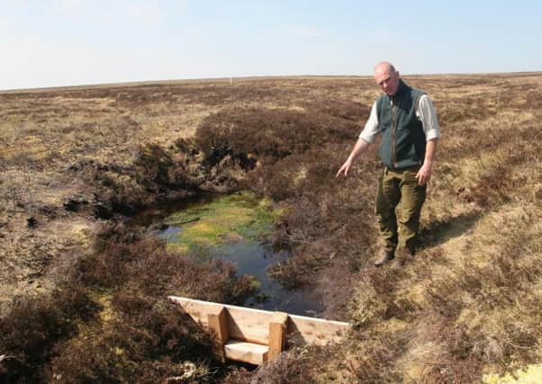 Gamekeeper Ian Elliot of The Lammermuirs Moorland Group examines the peatland restoration work on the moor.