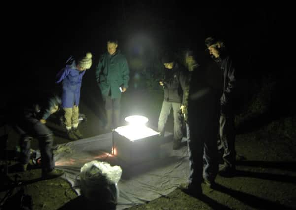 Some of the Glenkinnon moth watchers at one of the light traps.