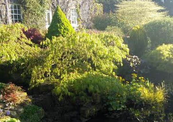 Scotland's Open Gardens offer inspiration