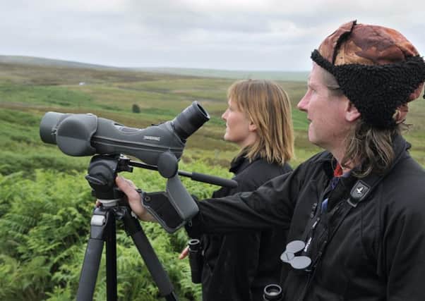 Researchers looking for raptors at Langholm Moor, Dumfries and Galloway Area.
Â©Lorne Gill/SNH