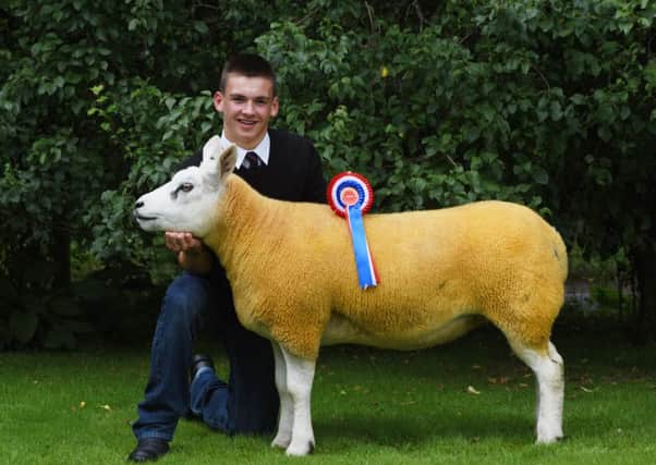 Clark Young, Under 16 Regional Sheep Young Handlers champion.