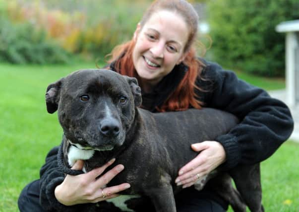 For the past three years, on average, around 50% of all dogs in rescue centres have been Staffordshire or Staffordshire Cross.