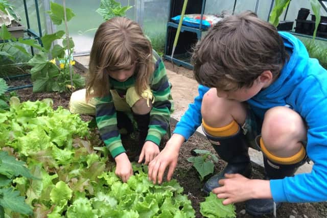You Can Cook projects encourage children to tend their own edible garden.
