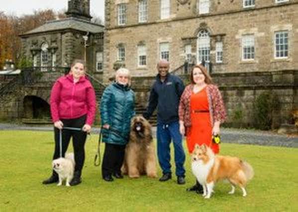 The three finalists, their owners and veterinary surgeon and JVP at Vets4Pets Paisley Phoenix, Alemu Shewakena, at Pollok House, the National Trust for Scotland.