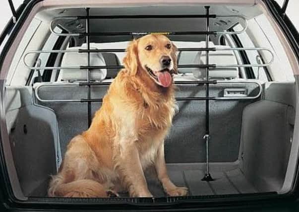 If carrying dogs in the back of an estate or hatchback you should fit an approved dog guard.