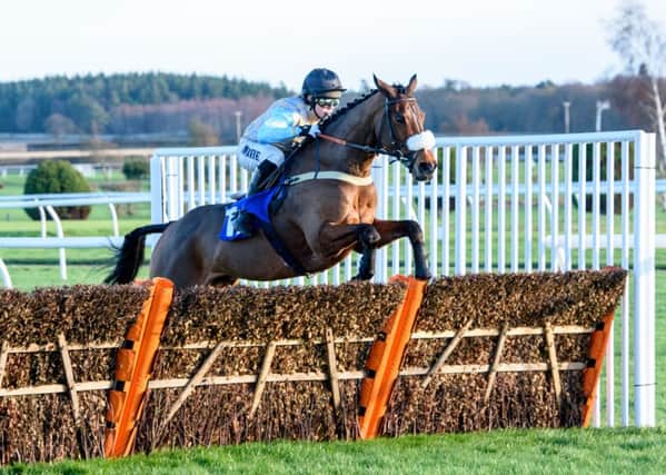 Road To Gold wins last year's Black Swan Kelso Novices Hurdle Race (picture by Caledonia Photos).