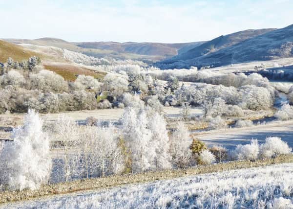 Alistair Milnes image shows the Yarrow Valley in frosts icy grip.