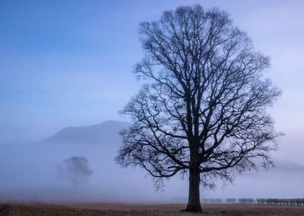 Curtis Welsh captured this image of a misty December dawn at Sorrowlessfield Farm, Earlston, with the Black Hill as a backdrop