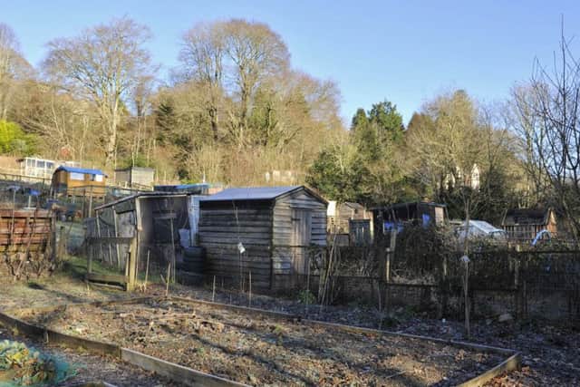 Allotments at Wilton in Hawick.